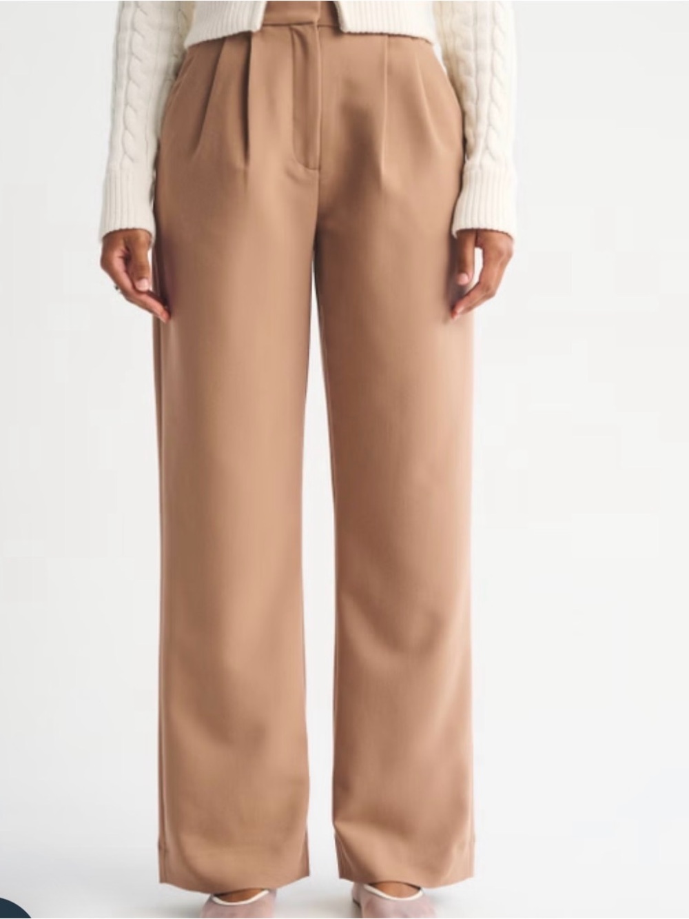 Abercrombie & Fitch Pants Size 28 Curve Love Sloane Tailored Wide Leg Tan - Picture 3 of 11